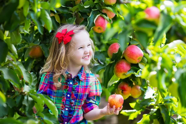 Gadis kecil memetik apel dari pohon di kebun buah — Stok Foto