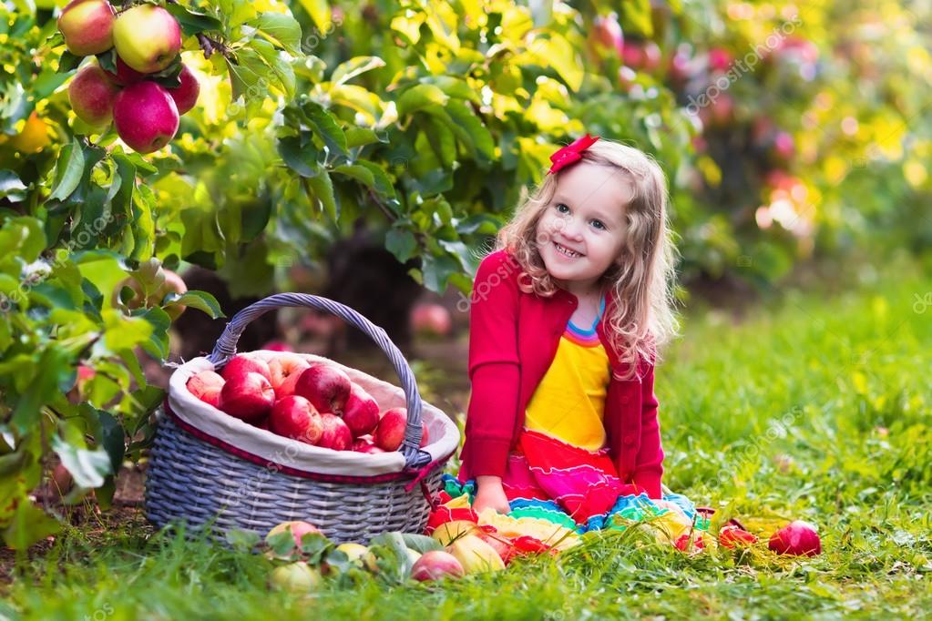 depositphotos_84554856-stock-photo-little-girl-picking-apples-from.jpg