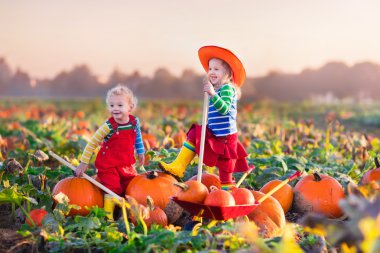 Çocuklar Halloween kabak yama üzerinde kabak toplama