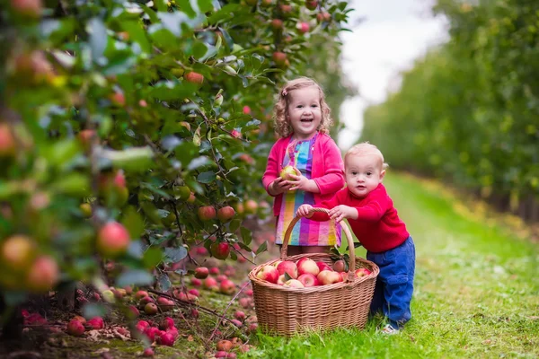 Kinderen plukken verse appels uit boom — Stockfoto