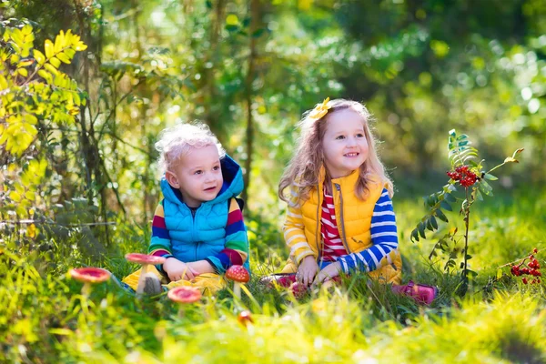 孩子们玩在秋天的树林 — 图库照片