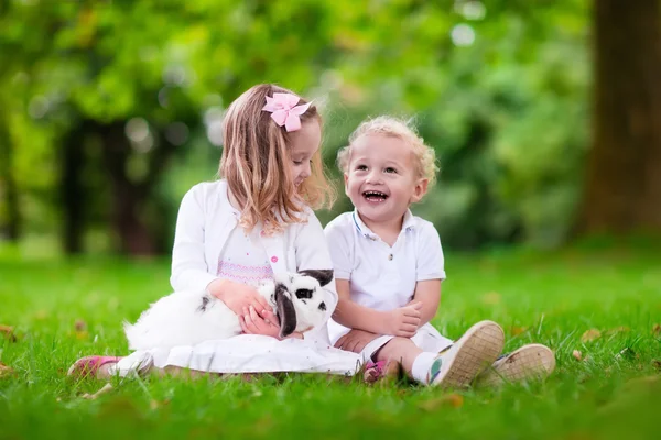 Niños jugando con conejo real — Foto de Stock