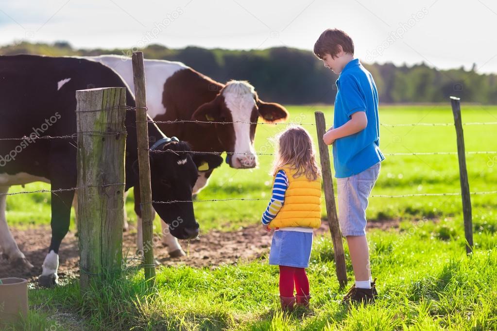 Kids feeding cow on a farm — Stock Photo © FamVeldman 85151490
