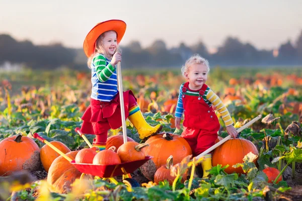 Kids picking pumpkins on Halloween pumpkin patch — Stock Photo, Image