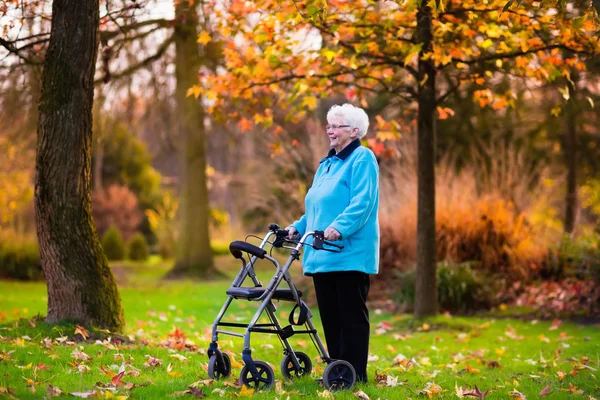 Señora mayor con un andador en el parque de otoño —  Fotos de Stock
