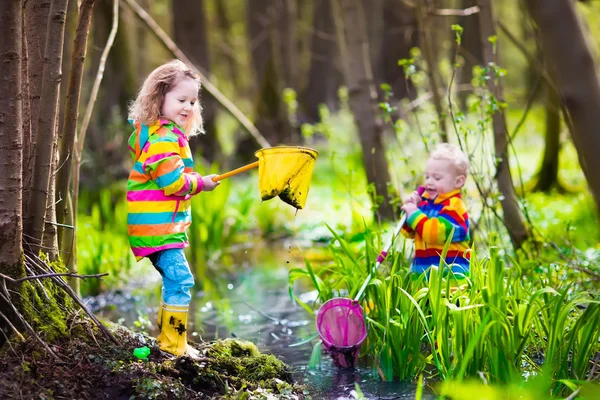 Niños jugando al aire libre atrapando rana — Foto de Stock