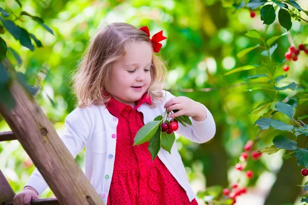 在花园里的小女孩采摘新鲜樱桃浆果 — Stok fotoğraf