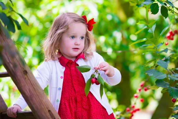 在花园里的小女孩采摘新鲜樱桃浆果 — Stok fotoğraf