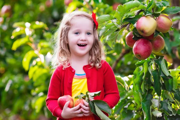 Küçük kız elma ağaçtan meyve meyve bahçesinde toplama — Stok fotoğraf