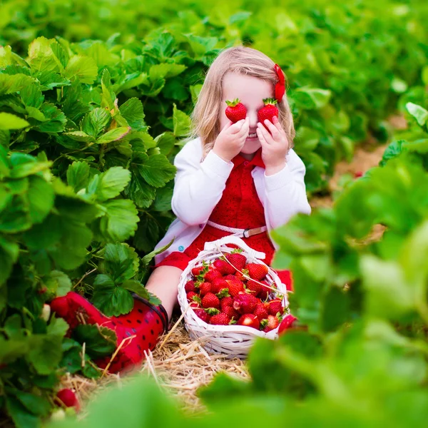 Little girl picking strawberry on a farm field — Stock Photo, Image