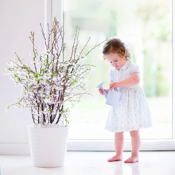 Little girl with first spring flowers at home — 图库照片