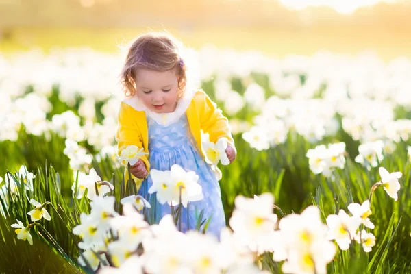 Niña en el campo de narcisos — Foto de Stock