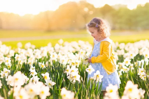 Niña en el campo de narcisos — Foto de Stock