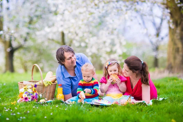 Family enjoying picnic in blooming garden — Stok fotoğraf