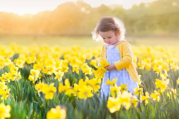 Little girl in daffodil field — 图库照片