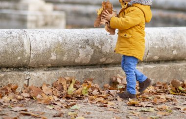 Küçük çocuk sonbaharda parkta oynuyor.