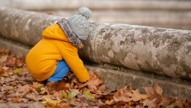 Küçük çocuk sonbaharda parkta oynuyor.