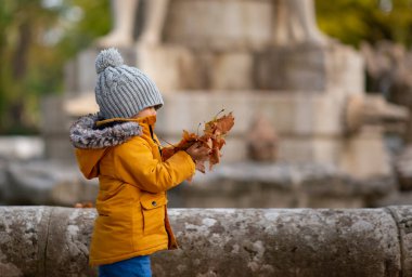 Küçük çocuk sonbaharda parkta oynuyor.
