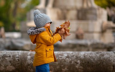 Küçük çocuk sonbaharda parkta oynuyor.