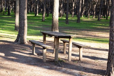 Ormanda piknik masaları