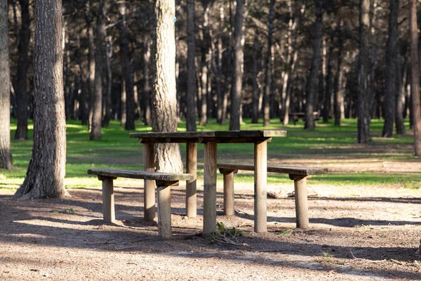 Столы Пикника Лесу — стоковое фото