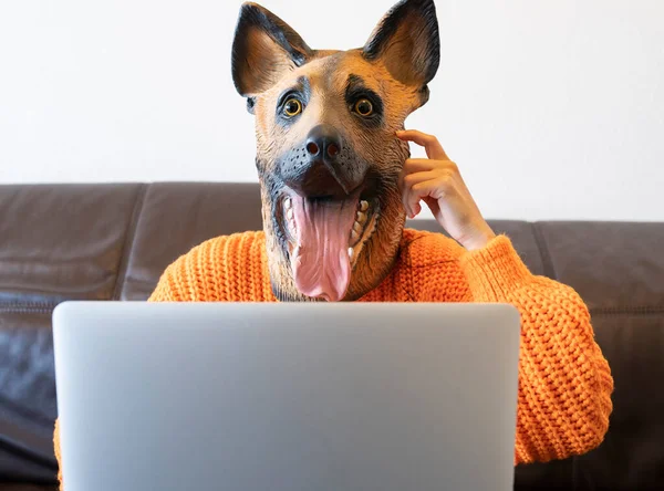 Человек Маске Собаки Работает Дома Ноутбуком — стоковое фото