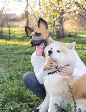 Köpek maskeli bir adam ve onun köpek veteriner konsepti.