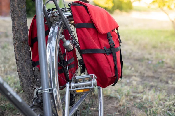 Cykel Med Sadelväskor Ett Träd — Stockfoto