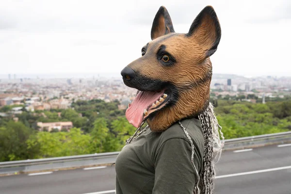 Mulher Com Cara Cão Uma Colina Onde Você Pode Ver — Fotografia de Stock