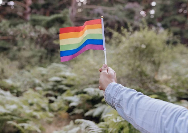 Hand Hålla Regnbåge Färgad Lgbt Flagga — Stockfoto