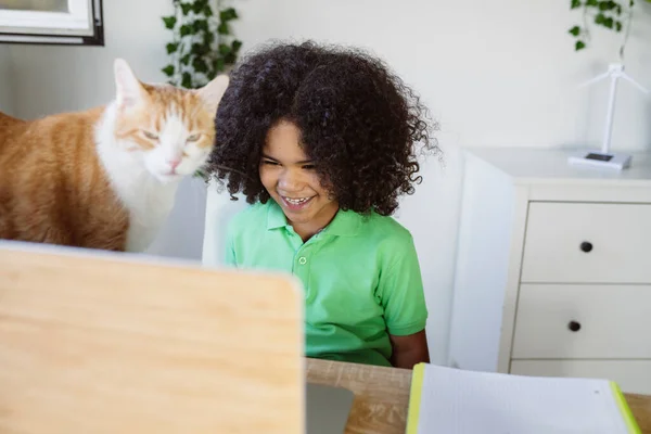 Όμορφο Αγοράκι Υπολογιστή Και Γάτα Στο Σπίτι — Φωτογραφία Αρχείου