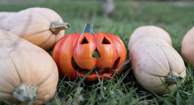 Çimlerin üzerinde birkaç farklı cadılar bayramı kabağı