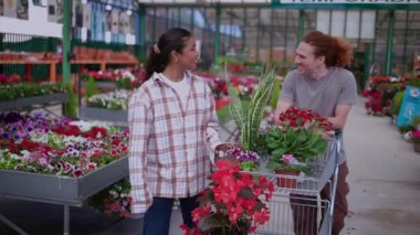 Mutlu, genç, çok ırklı bir çift, bir sera koridorunda yürüyorlar, renkli saksı çiçekleri ve bitkilerle dolu bir alışveriş arabasını itiyorlar, yerel bir bahçe merkezinde birlikte vakit geçiriyorlar.