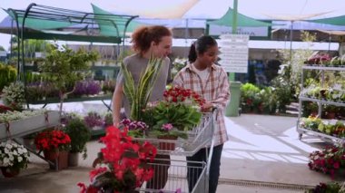 Çiçekler ve ev bitkileriyle dolu alışveriş arabasıyla yürüyen genç kadın ve erkek, evleri için büyük, güneşli bir bitki bakım evinde birlikte yeni yeşil süslemeler seçiyorlar.