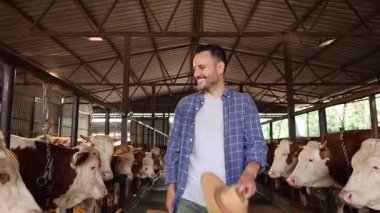 Tatmin olmuş sığır çiftçisi gülümsüyor ve saman şapkasını büyük bir mandıra ahırında havaya fırlatıyor. Sağlıklı çiftlik hayvanlarıyla başarılı bir iş gününü kutluyor.