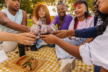 Group of diverse young friends celebrating togetherness and enjoying a picnic in a park, sitting on a plaid blanket and clinking red wine glasses during sunset
