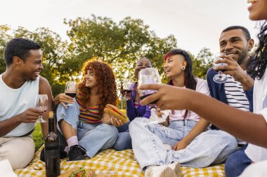 Diverse young adult friends sitting on a checkered blanket in a park, laughing and toasting with red wine during a joyful outdoor picnic, celebrating friendship and community