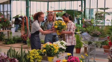 Mature female florist wearing an apron managing plant inventory with a digital tablet at the counter of a flower shop, checking potted petunias and organizing the display for sale