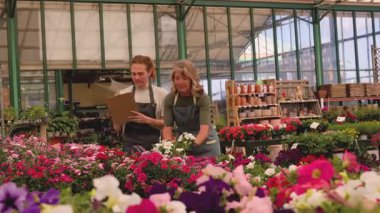 Mature female florist wearing an apron managing plant inventory with a digital tablet at the counter of a flower shop, checking potted petunias and organizing the display for sale