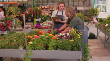 Mature female florist wearing an apron managing plant inventory with a digital tablet at the counter of a flower shop, checking potted petunias and organizing the display for sale
