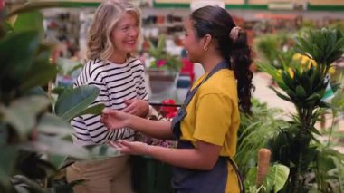 Mature female florist wearing an apron managing plant inventory with a digital tablet at the counter of a flower shop, checking potted petunias and organizing the display for sale