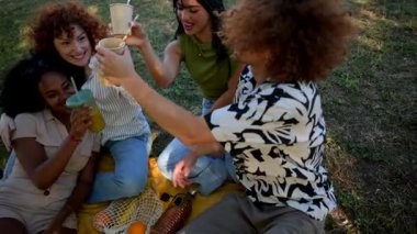 Parkta güneşli bir günde pikniğin tadını çıkarırken, arkadaşlıklarını kutlarken ve açık havada içkilerini yudumlarken mutlu çoklu etnik gruptan arkadaşlar güler ve bardaklarını tokuştururlar.