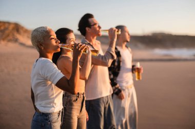 Sahilde durmuş, güzel bir gün batımında içki içen bir grup yetişkin yaz tatillerinde rahatlama ve dostluk anlarını paylaşıyorlar.