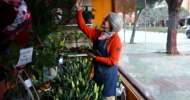 Çiçekçi dükkanında çalışan yaşlı, küçük işletme sahibi. Envanteri kontrol etmek için dijital tablet kullanıyor. Pencere kenarındaki raftan saksı bitkisini alıyor.