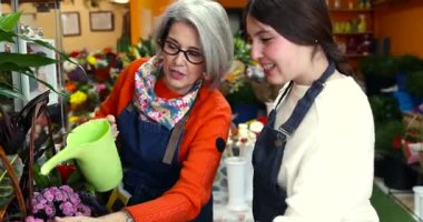 Tecrübeli bir çiçekçi genç bir öğrenciye sulama kabıyla çiçekleri nasıl sulayacağını öğretiyor. Renkli bir çiçekçi dükkanında bilgi ve becerilerini gelecek nesillerle paylaşıyor.