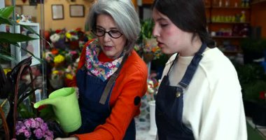 Genç bir kadın çalışana akıl hocalığı yapan, saksı bitkileriyle nasıl ilgileneceğini ve sulayacağını öğreten kıdemli bir çiçekçi.