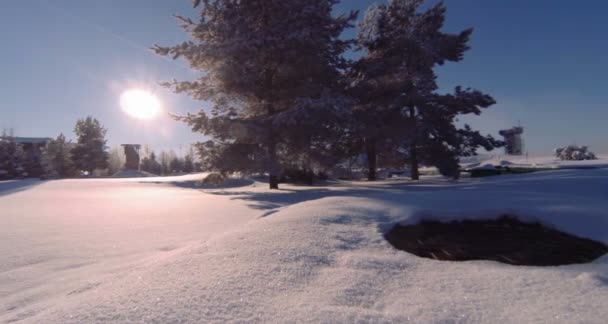 Fingranen står på ett fält täckt med snö — Stockvideo
