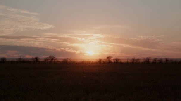 Sonnenuntergang in der Savanne Cremea — Stockvideo