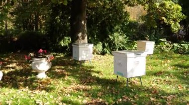 Paseka, arı kovanı. Arılar için ev.