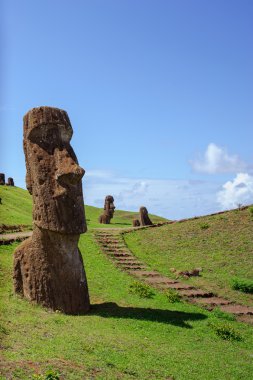 Heykeller Isla de Pascua üzerinde. Rapa Nui. Paskalya Adası